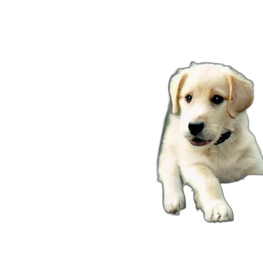 animal, creature, weapon, staff transparent PNG cut-out