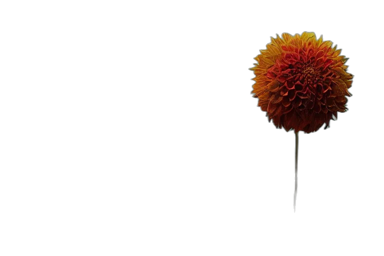 flower, staff, umbrella, hair, 3d render, photorealistic, concept art, earth tones transparent PNG cut-out