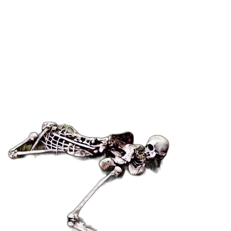 jewelry, crown, sword, staff, decaying, skeleton, bones, meadow transparent PNG cut-out