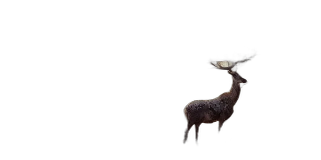 animal, creature, hat, crown, concept art, 3d render, photorealistic, pixel art transparent PNG cut-out