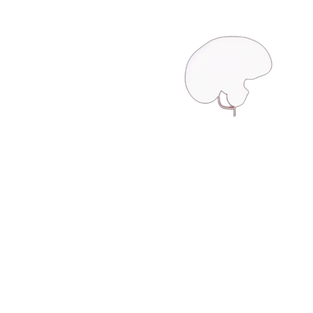 hat, umbrella, hair, face transparent PNG cut-out