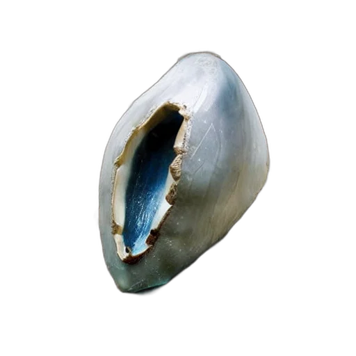 jewelry, crown, mask, shoes, 3d render, great, megalodon, tooth transparent PNG cut-out