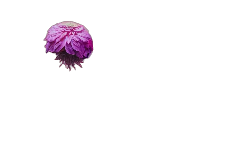 flower, crown, umbrella, hair, pixel art, 3d render, photorealistic, vaporwave transparent PNG cut-out