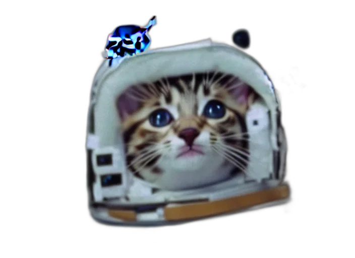 robot, animal, staff, hat transparent PNG cut-out
