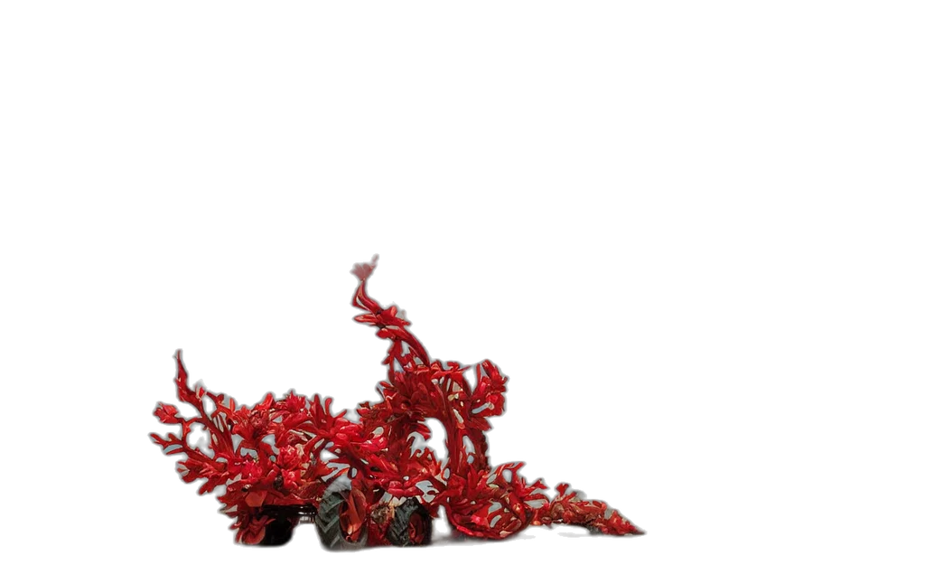 crown, dragon, weapon, staff transparent PNG cut-out