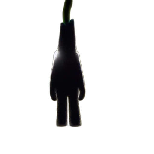 staff, hair, hat, crown transparent PNG cut-out