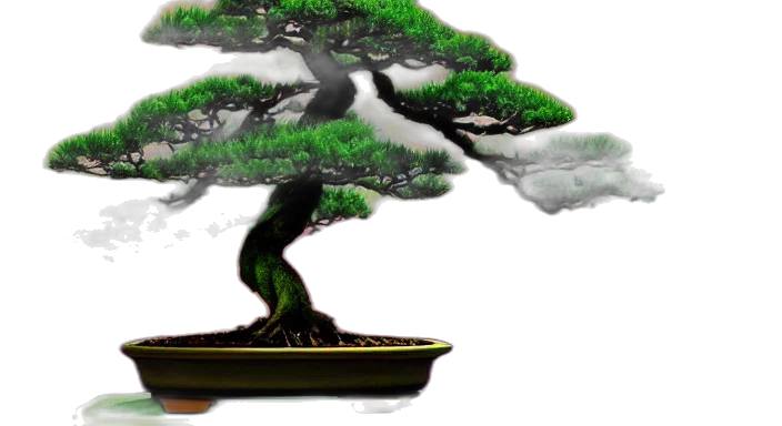 tree, crown, 3d render, concept art, photorealistic, fantasy art, forest, fog transparent PNG cut-out