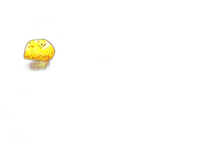 food, weapon, animal, dragon transparent PNG cut-out