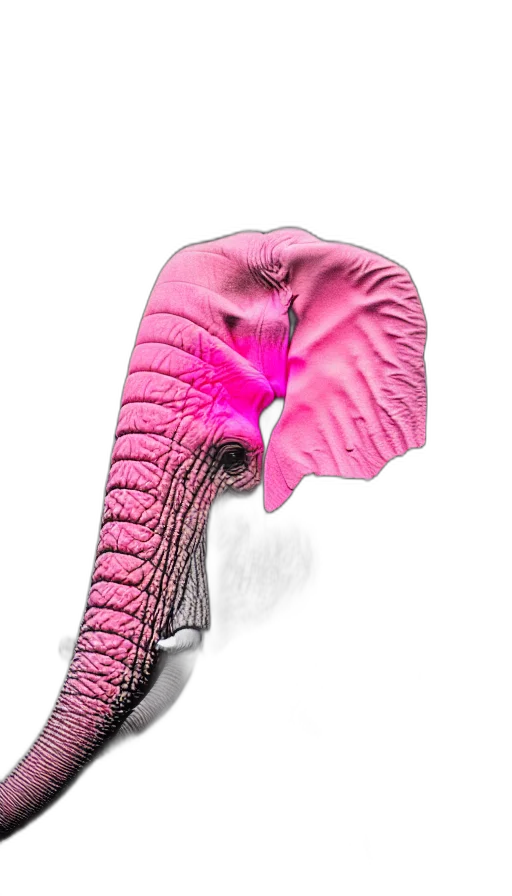 hat, umbrella, mask, animal transparent PNG cut-out