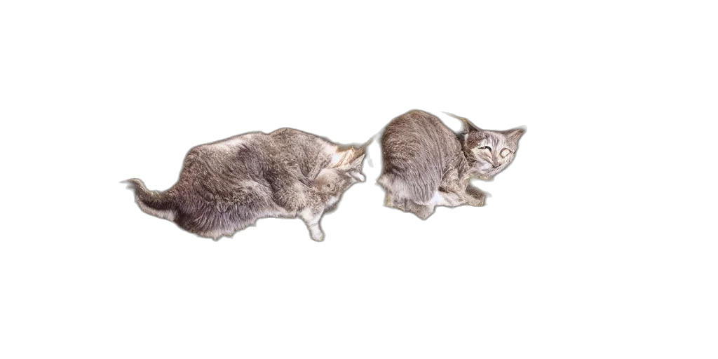 animal, hair, food, staff, photorealistic, concept art, 3d render, pencil sketch transparent PNG cut-out