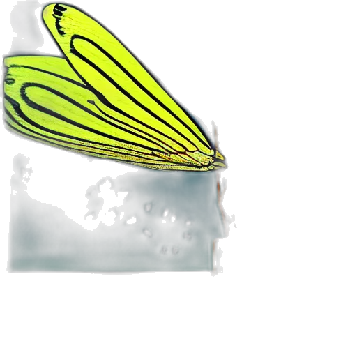 animal, creature, crown, jewelry transparent PNG cut-out