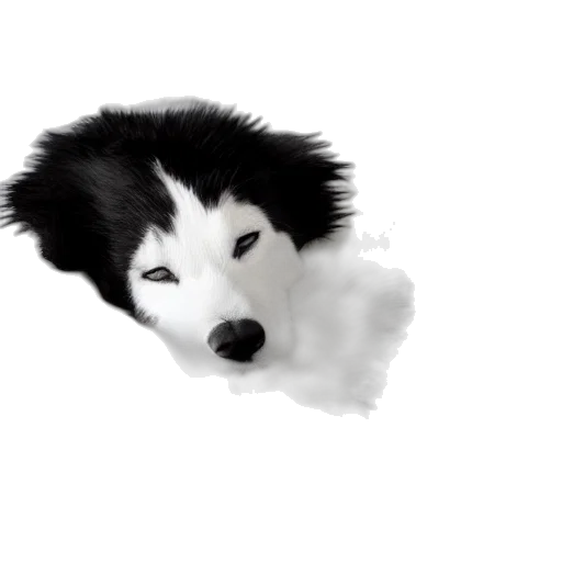 animal, creature, face, photorealistic transparent PNG cut-out