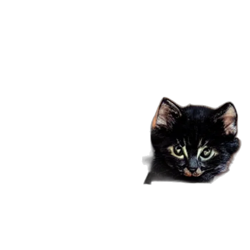 animal, face, creature, mask, photorealistic, pixel art, 3d render, concept art transparent PNG cut-out