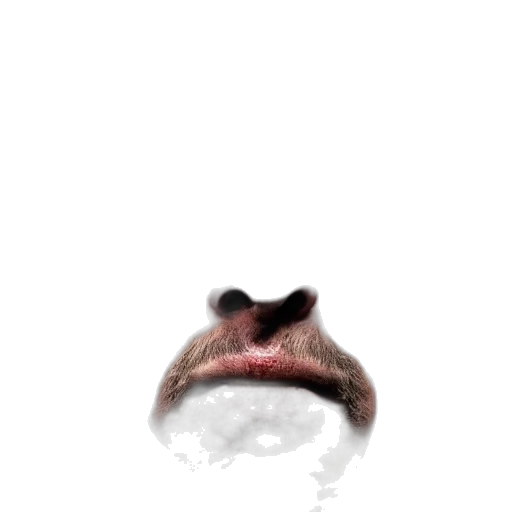 face, mask, creature, dragon transparent PNG cut-out