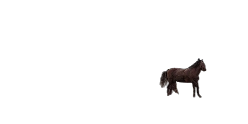 animal, hair, creature, staff transparent PNG cut-out