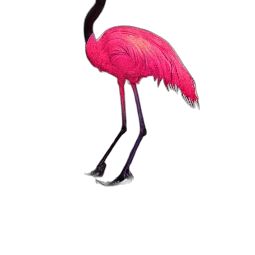 animal, creature, staff, shoes transparent PNG cut-out