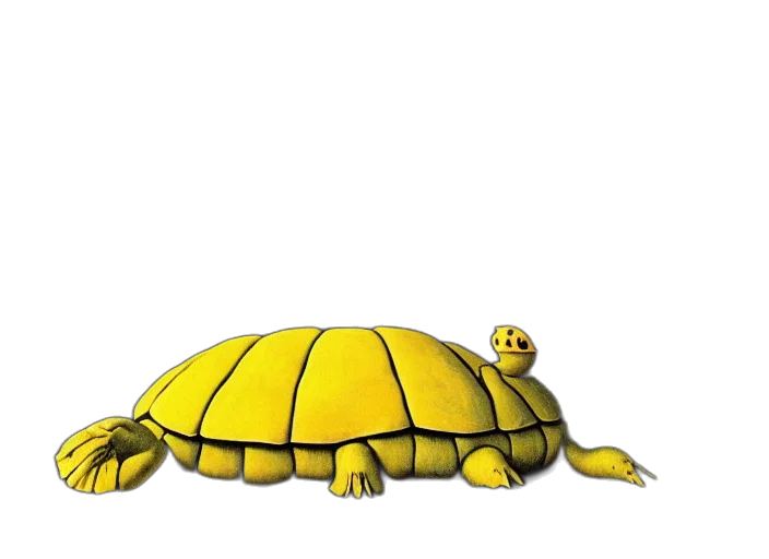 animal, creature, crown, umbrella transparent PNG cut-out