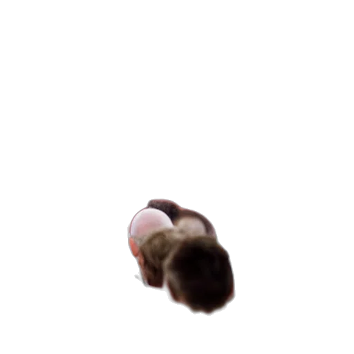 hair, creature, face, animal, photorealistic, 3d render, pixel art, concept art transparent PNG cut-out