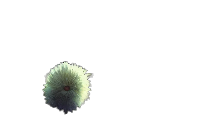 flower, hair, crown, umbrella, 3d render, pixel art, concept art, photorealistic transparent PNG cut-out