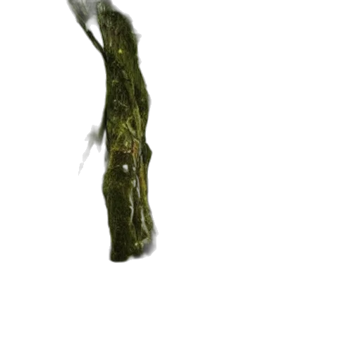 sword, tree, hair, staff transparent PNG cut-out