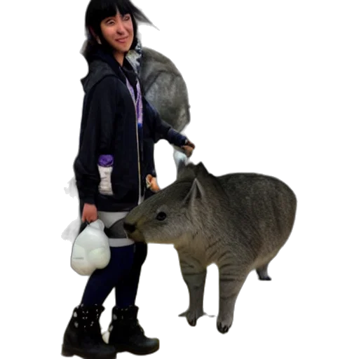 animal, staff, creature, jacket, photorealistic, concept art, gray, yellow transparent PNG cut-out