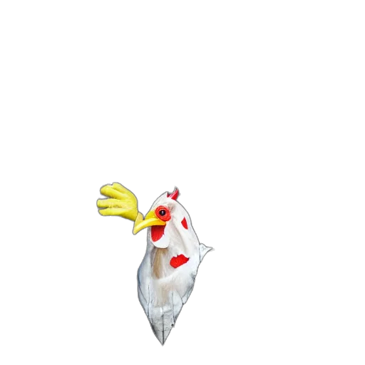 animal, food, weapon, creature transparent PNG cut-out