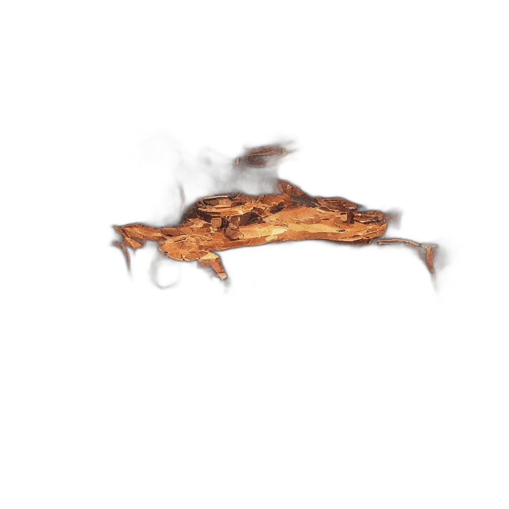 dragon, animal, creature, food transparent PNG cut-out