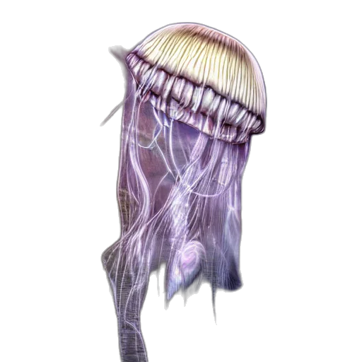 hair, crown, staff, creature transparent PNG cut-out