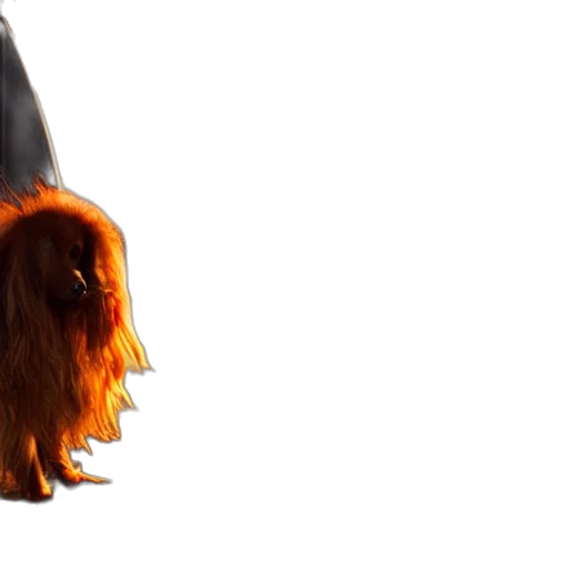 mask, hair, creature, hat, 3d render, photorealistic, concept art, cute transparent PNG cut-out