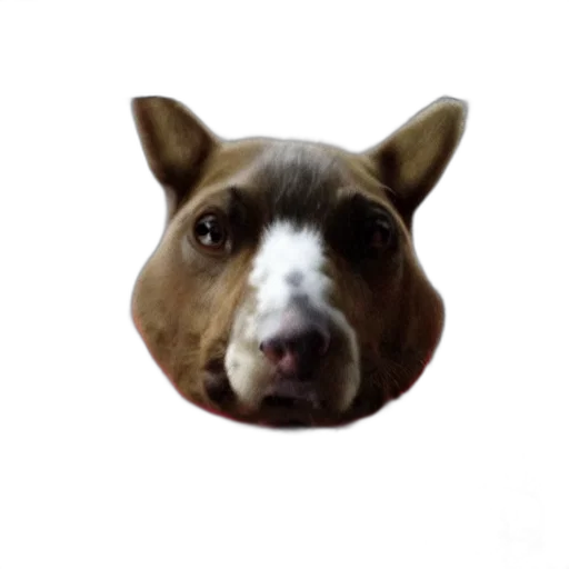 animal, face, creature, mask, photorealistic, 3d render, pixel art, concept art transparent PNG cut-out