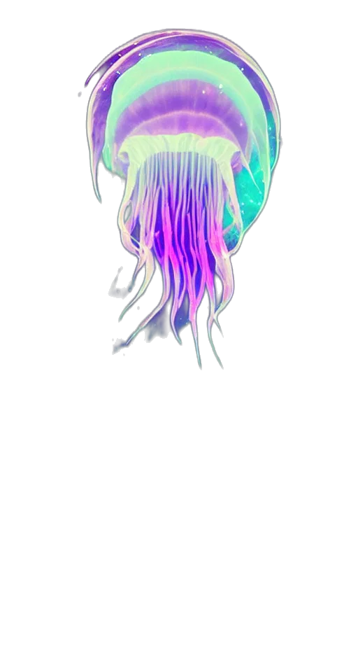 hair, creature, crown, mask transparent PNG cut-out