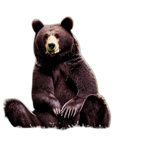 animal, creature, furniture, photorealistic transparent PNG cut-out