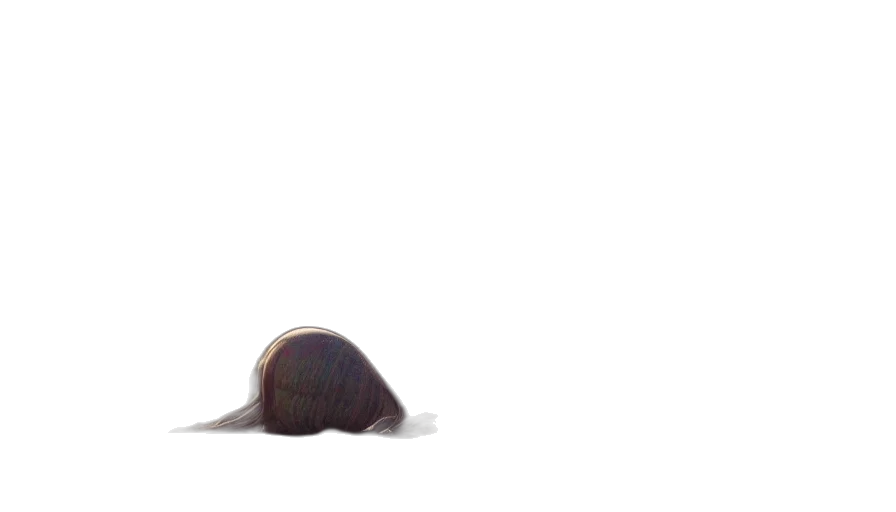 hair, hat, animal, creature, 3d render, photorealistic, concept art, underwater transparent PNG cut-out