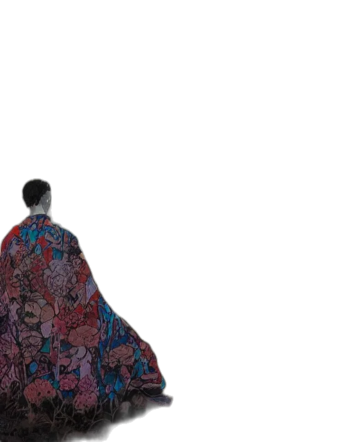 dress, jacket, umbrella, staff transparent PNG cut-out