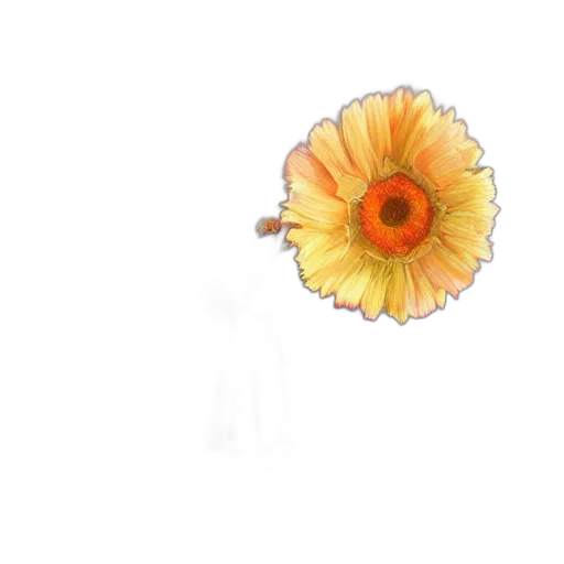 flower, crown, jewelry, dress transparent PNG cut-out