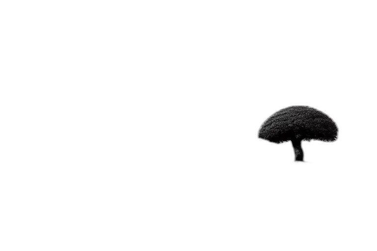 hat, umbrella, furniture, hair, 3d render, photorealistic, concept art, pixel art transparent PNG cut-out