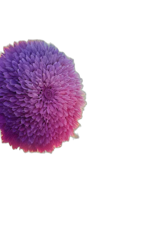 flower, umbrella, crown, hair, 3d render, photorealistic, vaporwave, concept art transparent PNG cut-out