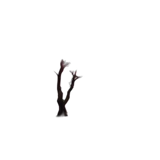 tree, hair, creature, animal transparent PNG cut-out