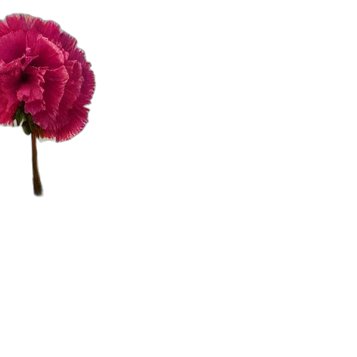 flower, crown, umbrella, staff, 3d render, photorealistic, pixel art, concept art transparent PNG cut-out