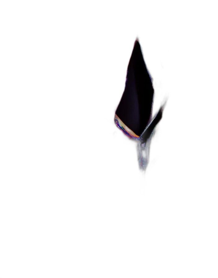 hat, staff, umbrella, crown transparent PNG cut-out
