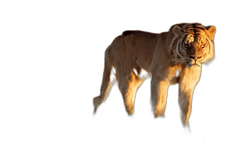 animal, creature, staff, weapon, 3d render, concept art, photorealistic, fantasy art transparent PNG cut-out