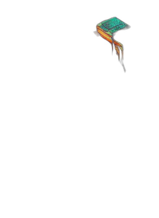 staff, dragon, umbrella, sword transparent PNG cut-out