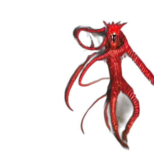 creature, animal, hair, staff transparent PNG cut-out