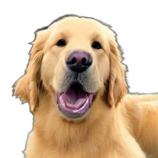 animal, face, staff, creature, photorealistic, 3d render, oil painting, pixel art transparent PNG cut-out