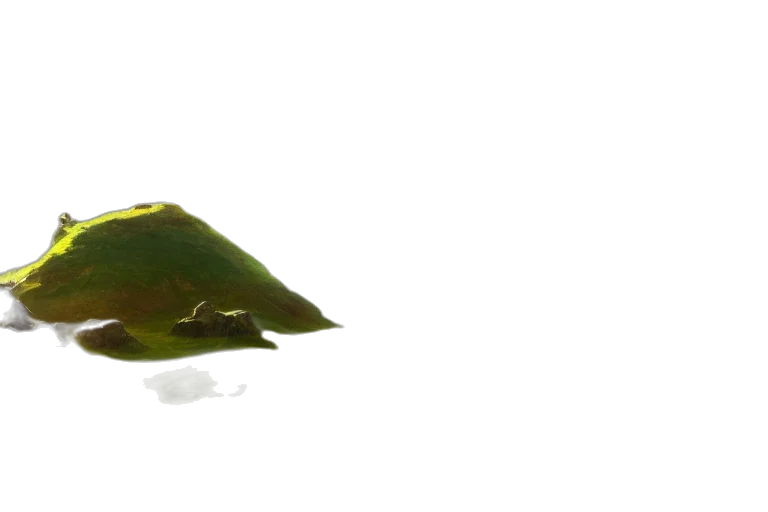animal, food, hat, bottle transparent PNG cut-out