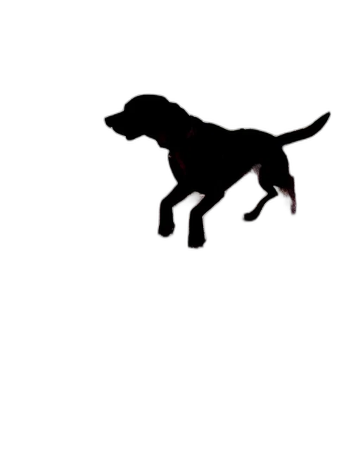animal, creature, dragon, staff, pixel art, photorealistic, concept art, dog transparent PNG cut-out