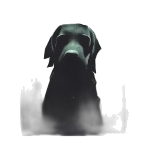 animal, creature, staff, face transparent PNG cut-out