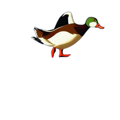 animal, creature, staff, hat transparent PNG cut-out