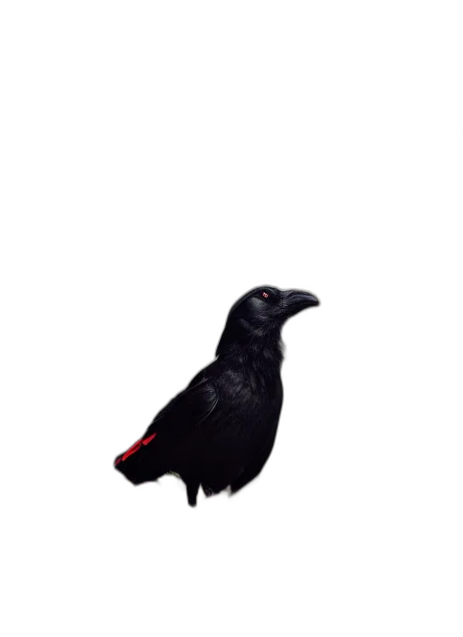 animal, creature, staff, dress transparent PNG cut-out