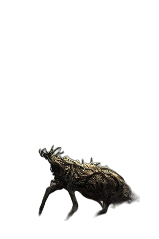 dragon, animal, creature, crown transparent PNG cut-out
